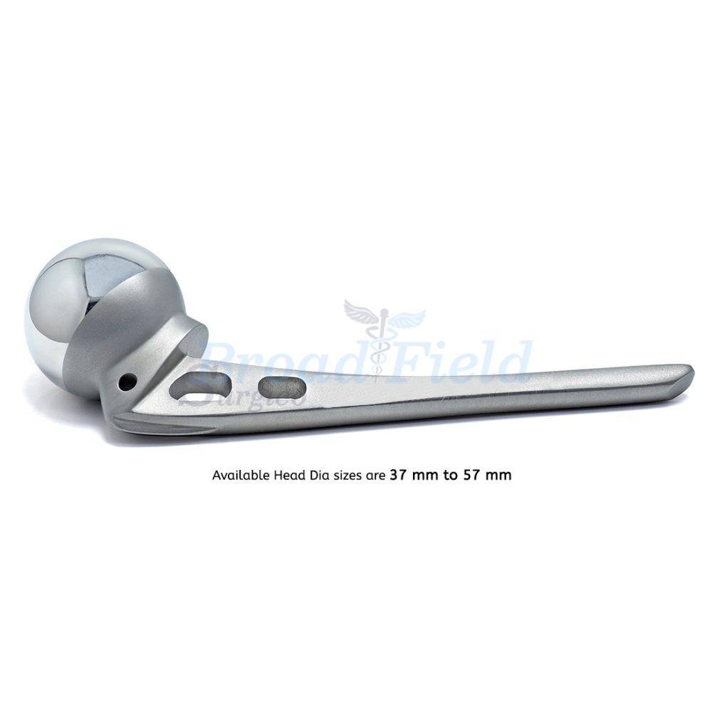 Austin Moore Hip Prosthesis