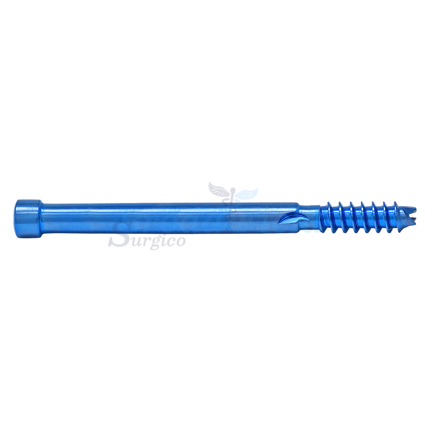 6.4 mm PFN Bolt Cannulated