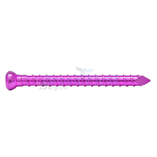 Nails Bolts